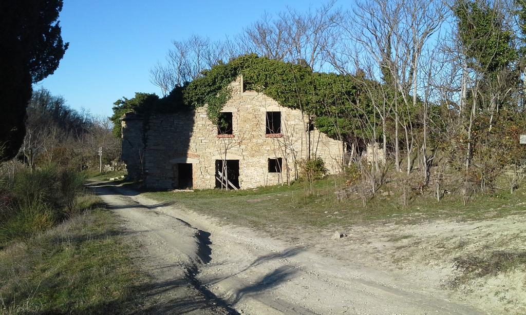 Agriturismo al Monte San Piero in Bagno Exterior foto
